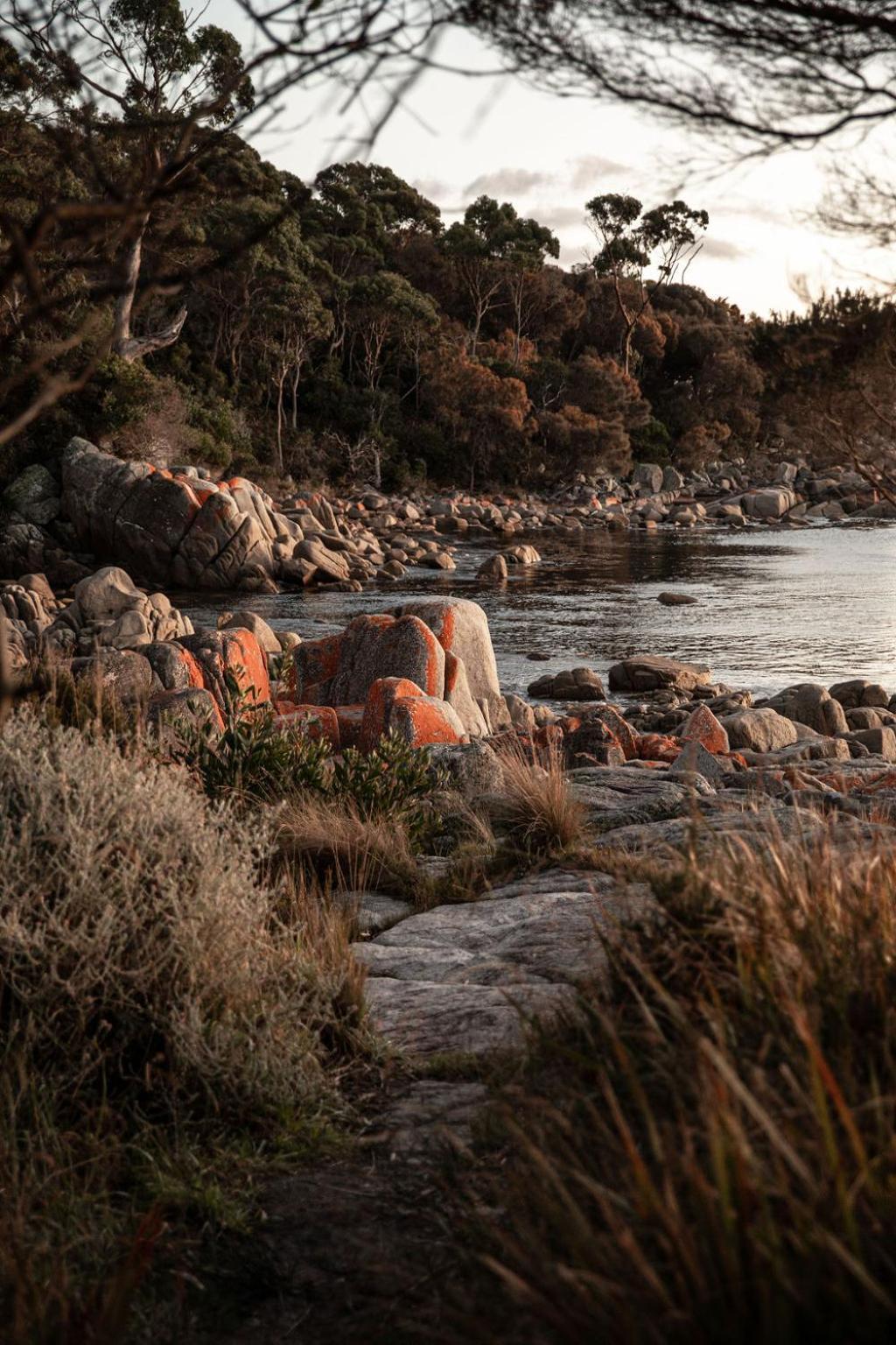 Driftwood Rest Binalong Bay Sleeps 4 Villa Exteriör bild